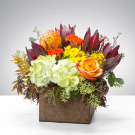 Low arrangement of green hydrangea with yellow and orange blooms in a wooden cube container