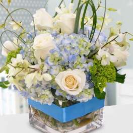 White roses and blue hydrangeas in a clear square vase with a blue band