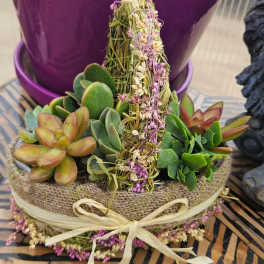 Wild Prairie Succulent Garden
