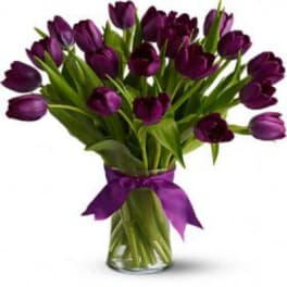 Purple tulip bouquet tied with a purple ribbon in a clear vase