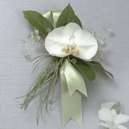 White orchid corsage with green ribbon and leaves