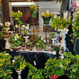 Assorted potted plants and greenery arranged on display tables