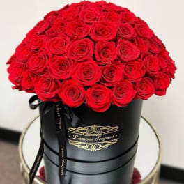 100 Everlasting Roses - Real Roses that last over 3 years