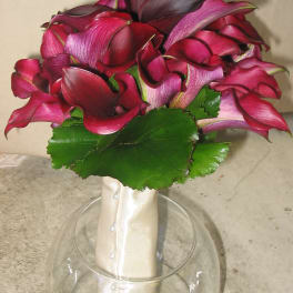 Bouquet of deep pink calla lilies in a glass vase