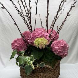 Large Pink Hydrangea Planter
