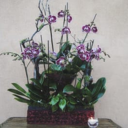 Tall orchid arrangement in a rectangular container with a small candle beside it