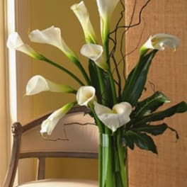 White calla lilies in a clear glass vase