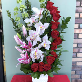 Tall arrangement of red roses, white orchids, and pink lilies in a white vase