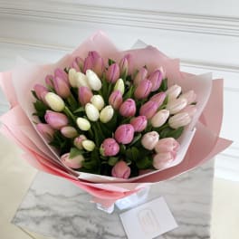 Bouquet of pink and white tulips wrapped in pink paper