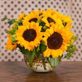 Bouquet of yellow sunflowers in a glass bowl vase