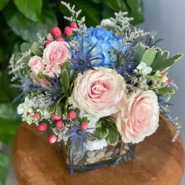 Pink roses and blue hydrangea in a square glass vase