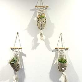Three hanging macramé planters with small succulents on a white wall