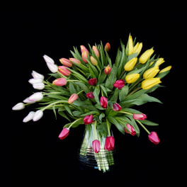 Bouquet of multicolored tulips in a clear glass vase