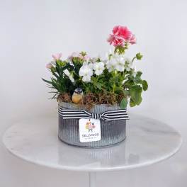 Oval galvanized planter with pink and white flowering plants, moss, and a small bird figurine with striped ribbon.