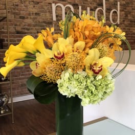 Yellow Calla Lilies, Cymbidium Orchids, Mokara Orchids, Hydrangea and Pincushion Protea