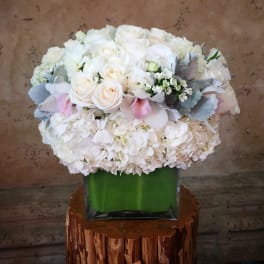 White rose and hydrangea arrangement in a square glass vase