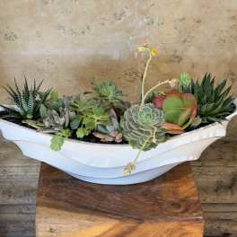 Succulent arrangement in a white boat-shaped planter