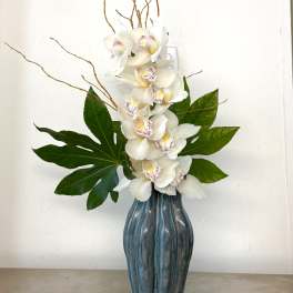 White orchids in a tall blue vase with large green leaves and curly branches