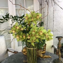 Bouquet of green orchids with long stems in a bundled arrangement