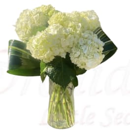 White hydrangea bouquet in a clear glass vase