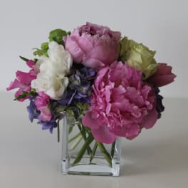 Low arrangement of pink peonies, white and green roses, and purple blooms in a clear glass cube vase