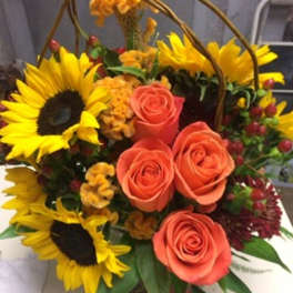 Basket arrangement with sunflowers and coral roses
