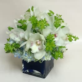 White orchids and blue hydrangeas in a dark glass vase