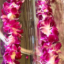 Magenta and white orchid lei in clear plastic packaging
