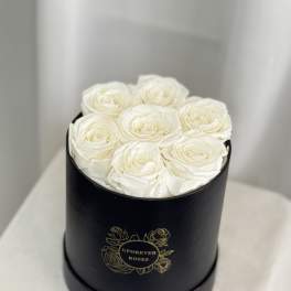Forever Roses in White