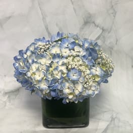 Blue and white hydrangea bouquet in a dark glass vase