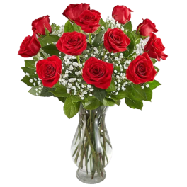1 Dozen Red Rose Arrangement