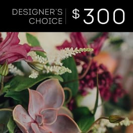 Designer's Choice - $300