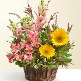 Basket arrangement with pink flowers and yellow daisies