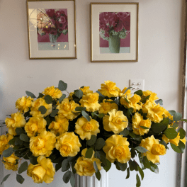 Large arrangement of yellow roses with round foliage in a white pedestal vase against a gallery wall