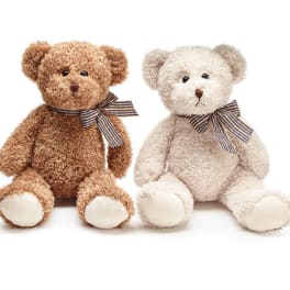 Two plush teddy bears with plaid bows on a white background