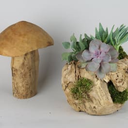 Succulent arrangement in a hollow wood planter beside a wooden mushroom sculpture