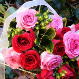 Bouquet of pink and red roses with a sheer ribbon