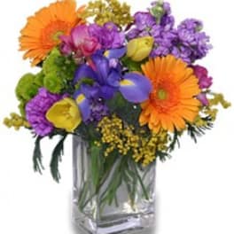 Colorful bouquet with orange gerberas, purple flowers, and yellow blooms in a clear vase