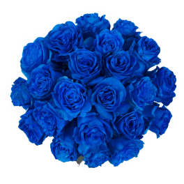Bouquet of vivid blue roses arranged in a tight round cluster