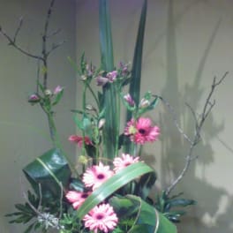 Tall floral arrangement with pink gerbera daisies and long green leaves in a black container