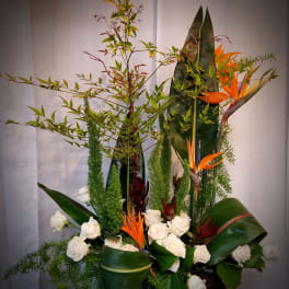 Tall tropical arrangement with white roses and orange bird-of-paradise flowers
