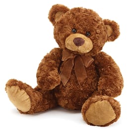 Brown teddy bear with a ribbon bow sitting on a white background