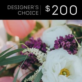 Designer's Choice - $200