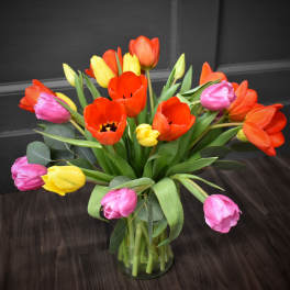 Bouquet of red, yellow, and pink tulips in a glass vase