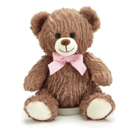 Brown teddy bear with a pink bow on a white background