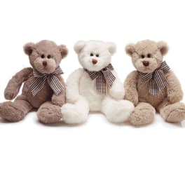 Three teddy bears with plaid bows sitting side by side