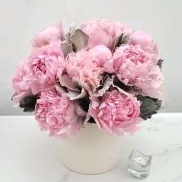 Pink Peony Bliss