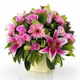 Round pink arrangement with lilies, gerbera daisies, and roses in a cream square vase