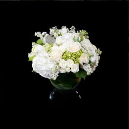 White roses and hydrangeas arranged in a glass vase
