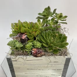 Succulent arrangement in a wooden box with decorative bird accents